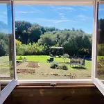 Ruralcamomo